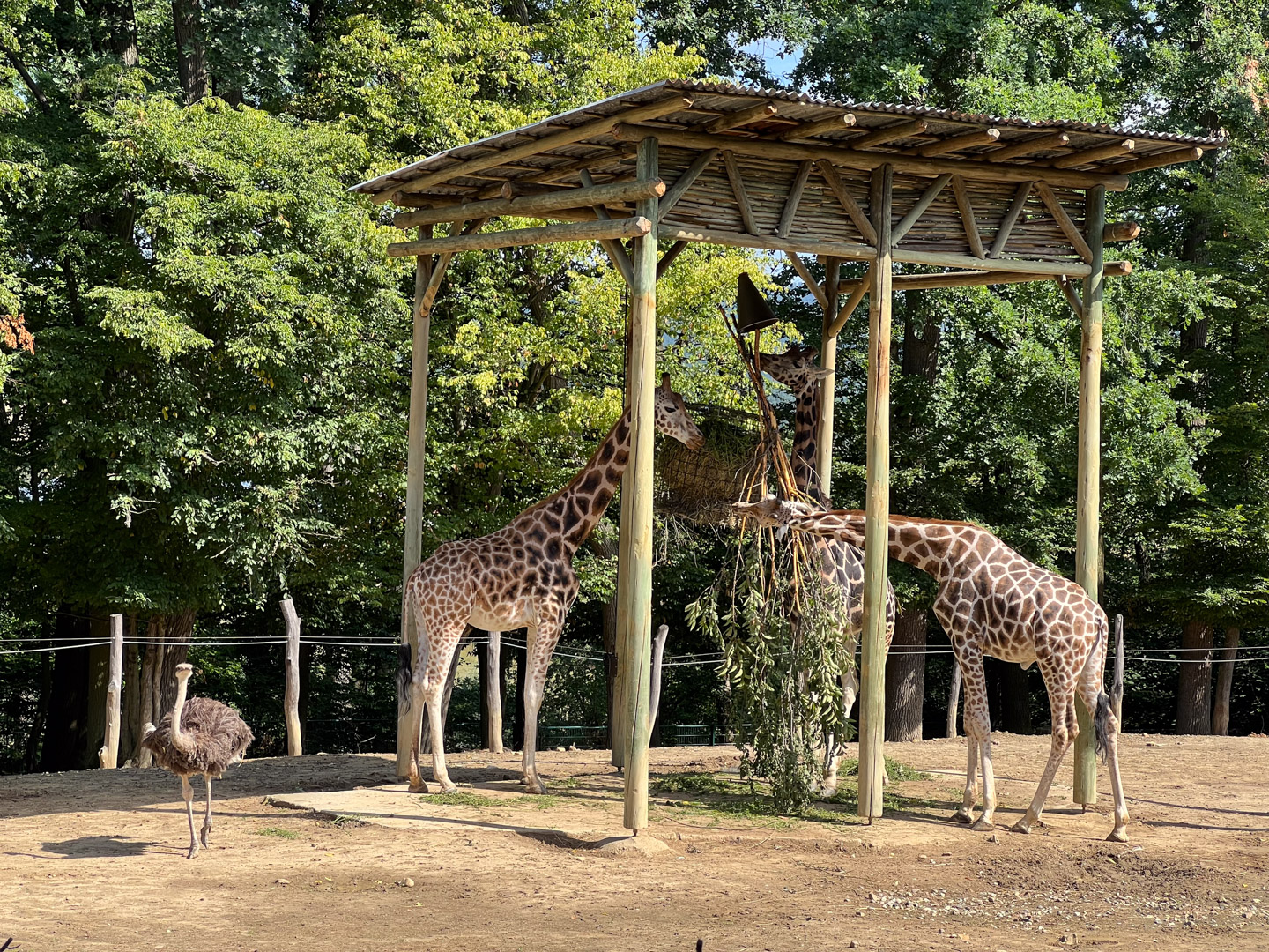 Zoo Zlín